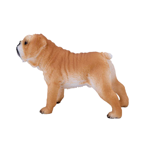 English Bulldog New 2022 | 381053