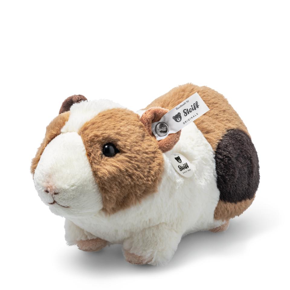 Dalle guinea pig